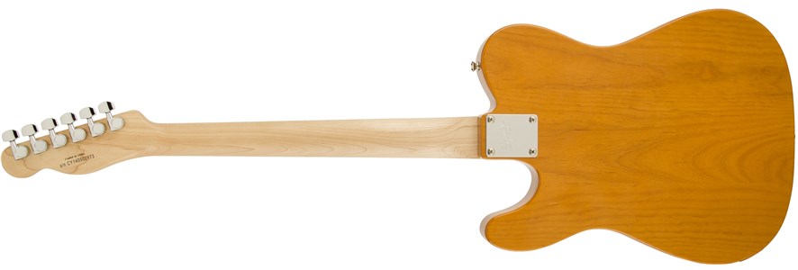 Affinity Tele 2