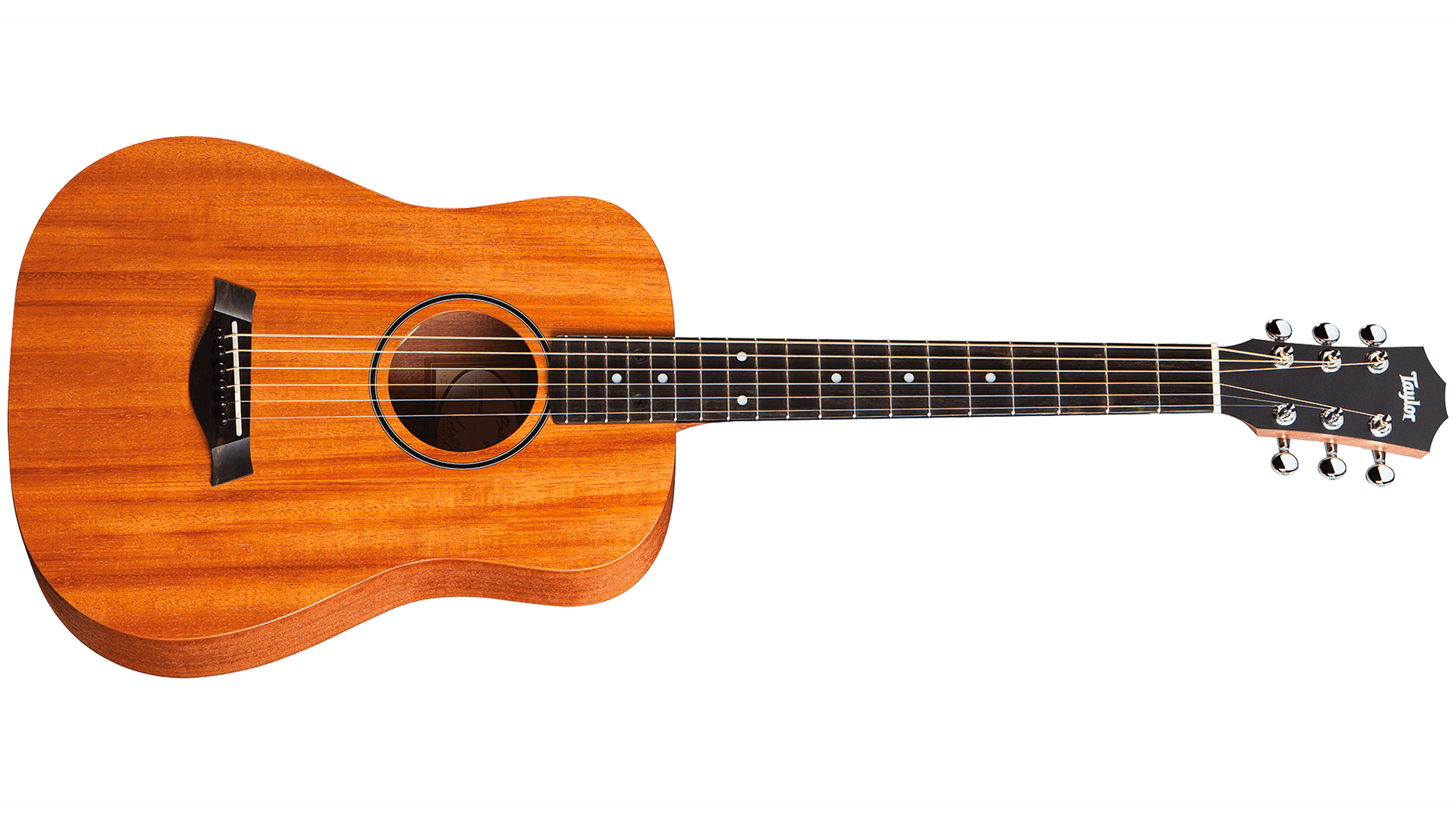 Taylor-BT2-front-2015_0