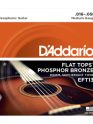 D'addario EFT13 Phosphor Bronze Flat Tops, Medium, 16-56