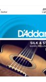D'addario  EJ35 Silk & Steel 12-String Folk Guitar, 11-47