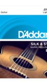 D'addario  EJ40 Silk & Steel Folk Guitar, 11-47