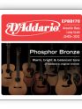 D'addario EPBB170 Phosphor Bronze Acoustic Bass, Long Scale, 45-100