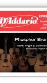 D'addario EPBB170 Phosphor Bronze Acoustic Bass, Long Scale, 45-100