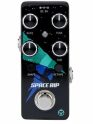 PIGTRONIX SPACE RIP - PWM SYNTH
