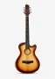 Smiger LE-A1 Acoustic Silent Guitar